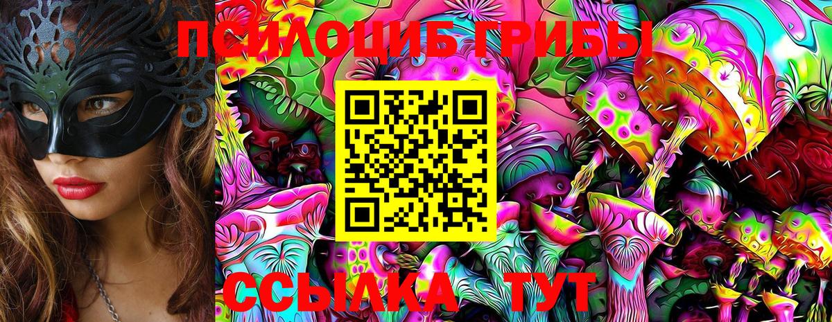 Галлюциногенные грибы Psilocybine cubensis Углич