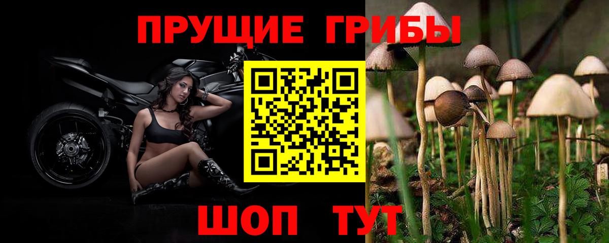 купить закладку  Вход с VPN  Углич  Галлюциногенные грибы мицелий 